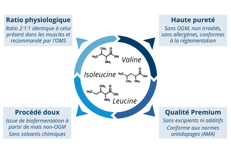 Les atouts BCAA 2.1.1 de Nutrixeal